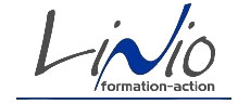 Logo LINIO